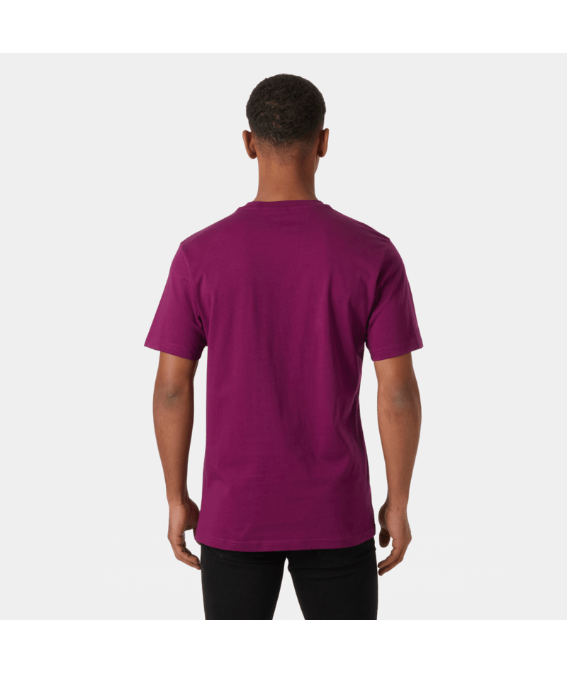 Helly Hansen Box T-shirt majica - moška