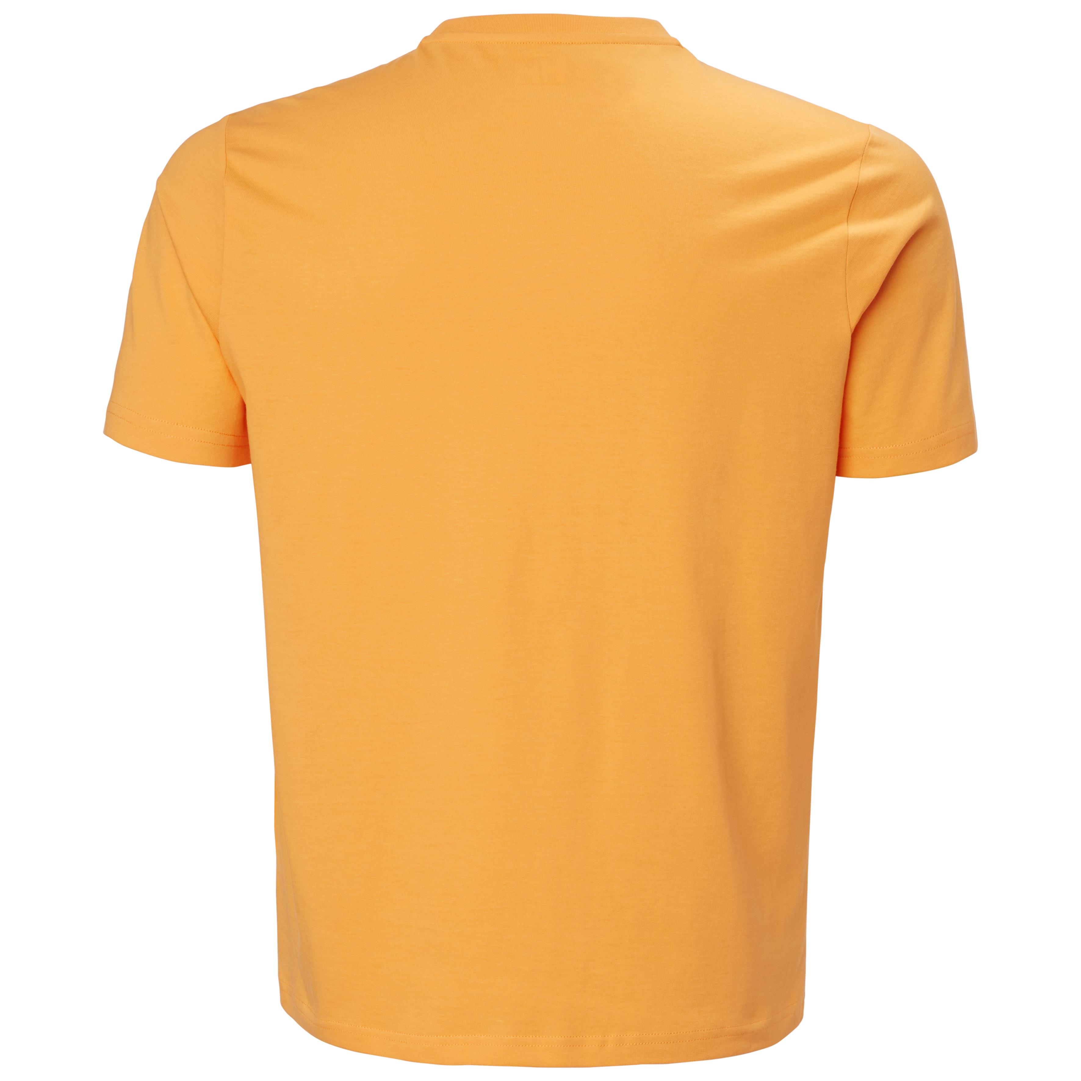 Helly Hansen HH Logo 3.0 T-shirt majica - moška