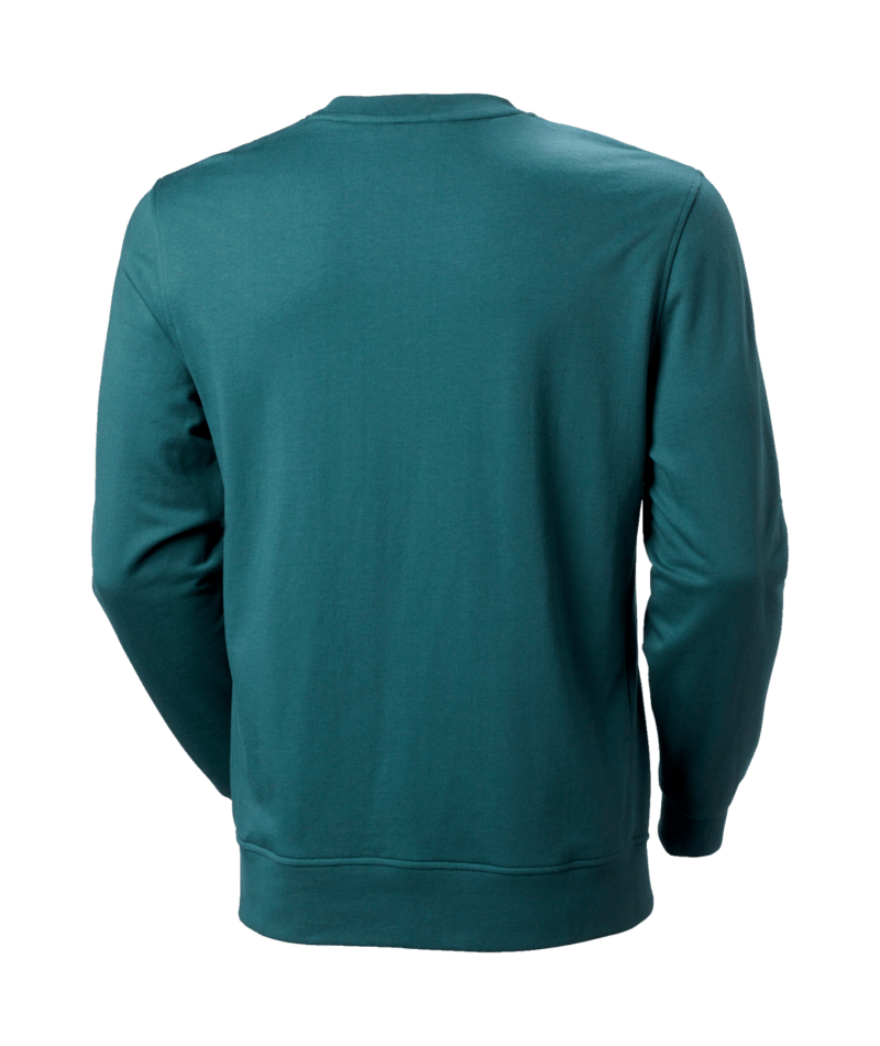 Helly Hansen Nord Graphic Crew pulover - moški