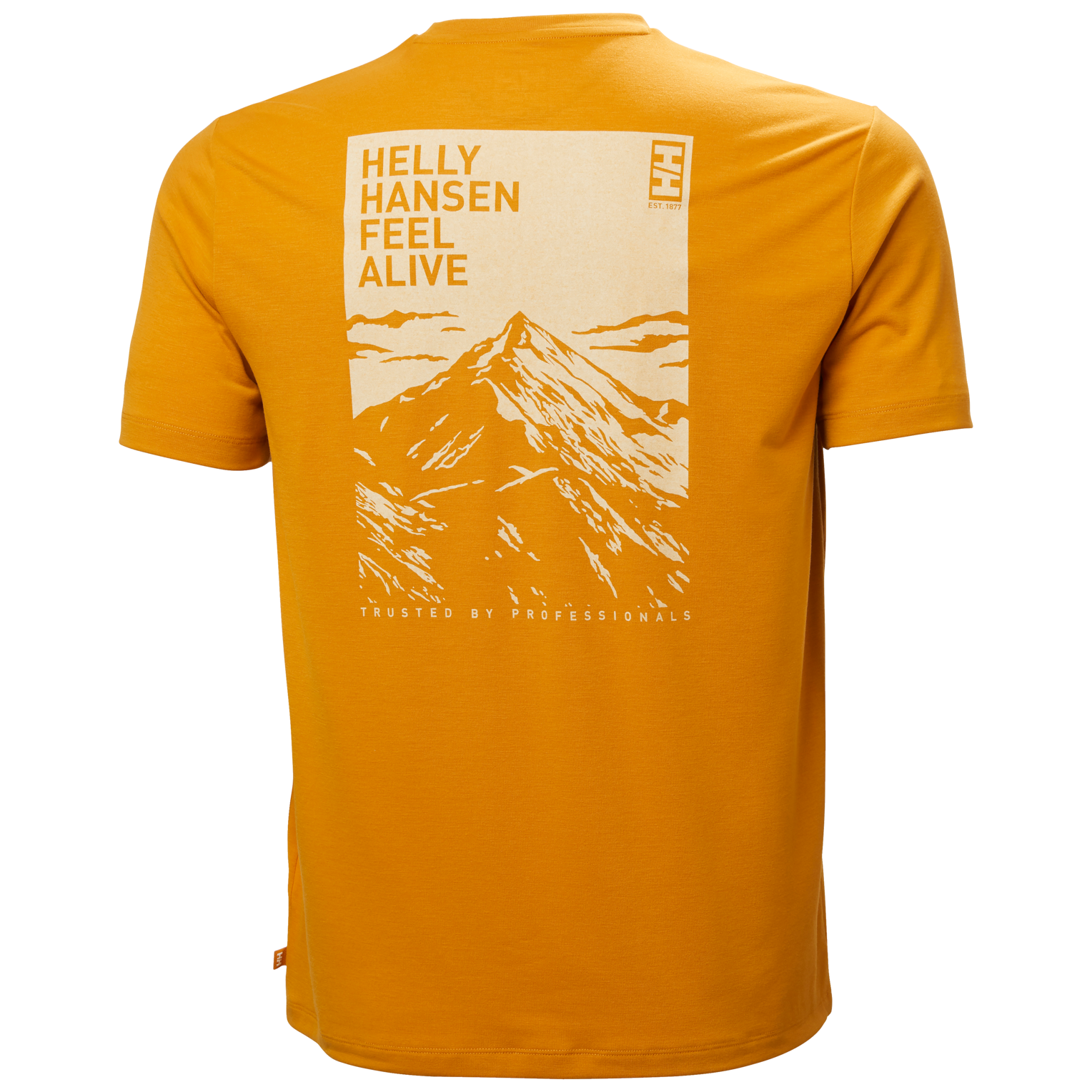 Helly Hansen SKOG GRAPHIC T-SHIRT - moška T-shirt majica
